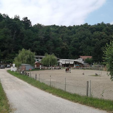 Locazione Turistica Varaita-Brossasco Exterior photo
